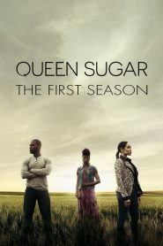 Queen Sugar: Season 1