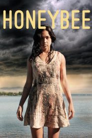 HoneyBee 2016