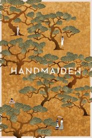 The Handmaiden 2016
