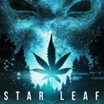 Star Leaf 2015