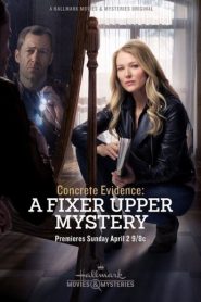 Concrete Evidence: A Fixer Upper Mystery 2017