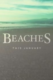 Beaches 2017