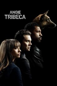 Angie Tribeca: Season 1