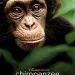 Chimpanzee 2012
