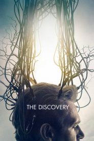The Discovery 2017