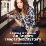 A Bundle of Trouble: An Aurora Teagarden Mystery 2017
