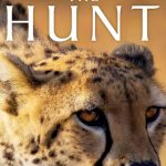 The Hunt: Season 1
