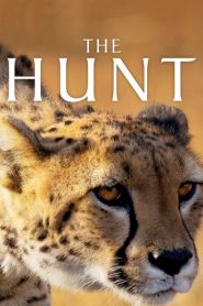 The Hunt: Season 1