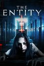 The Entity 2015