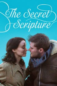 The Secret Scripture 2016