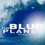 The Blue Planet: Season 1