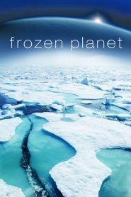 Frozen Planet: Season 1