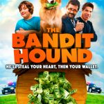 The Bandit Hound