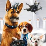 Cats & Dogs 2 : The Revenge of Kitty Galore