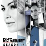 Grey's Anatomy: Season 14