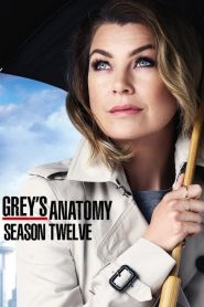 Grey’s Anatomy: Season 12