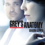 Grey's Anatomy: Season 11