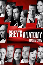 Grey’s Anatomy: Season 7