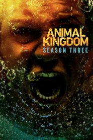 Animal Kingdom: Season 3