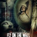 Fly on the Wall