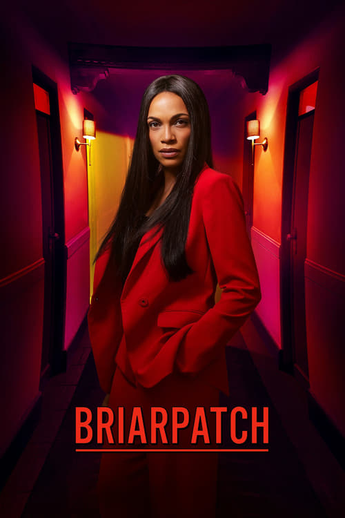 Briarpatch: Season 1