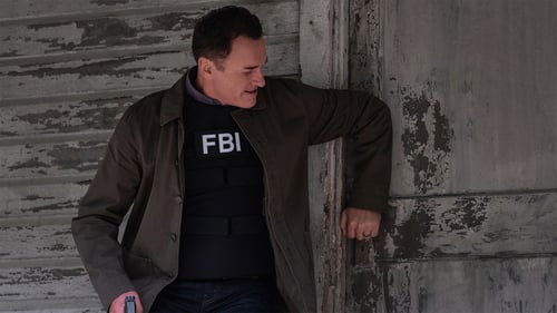 FBI: Most Wanted: 1x11